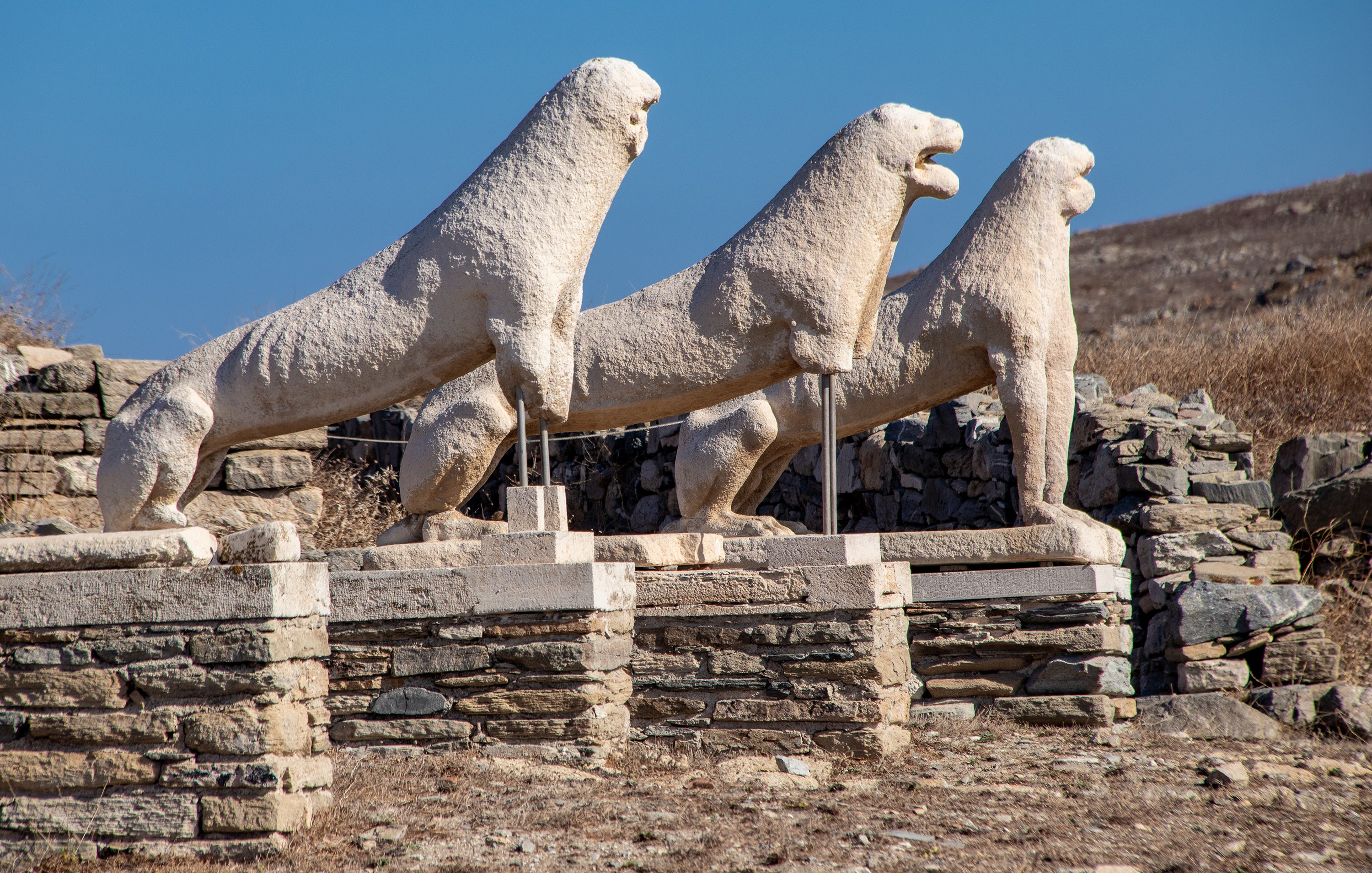 Delos Lions Terrace 