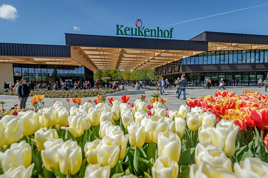 Keukenhof Park