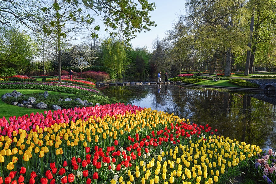 Keukenhof Park