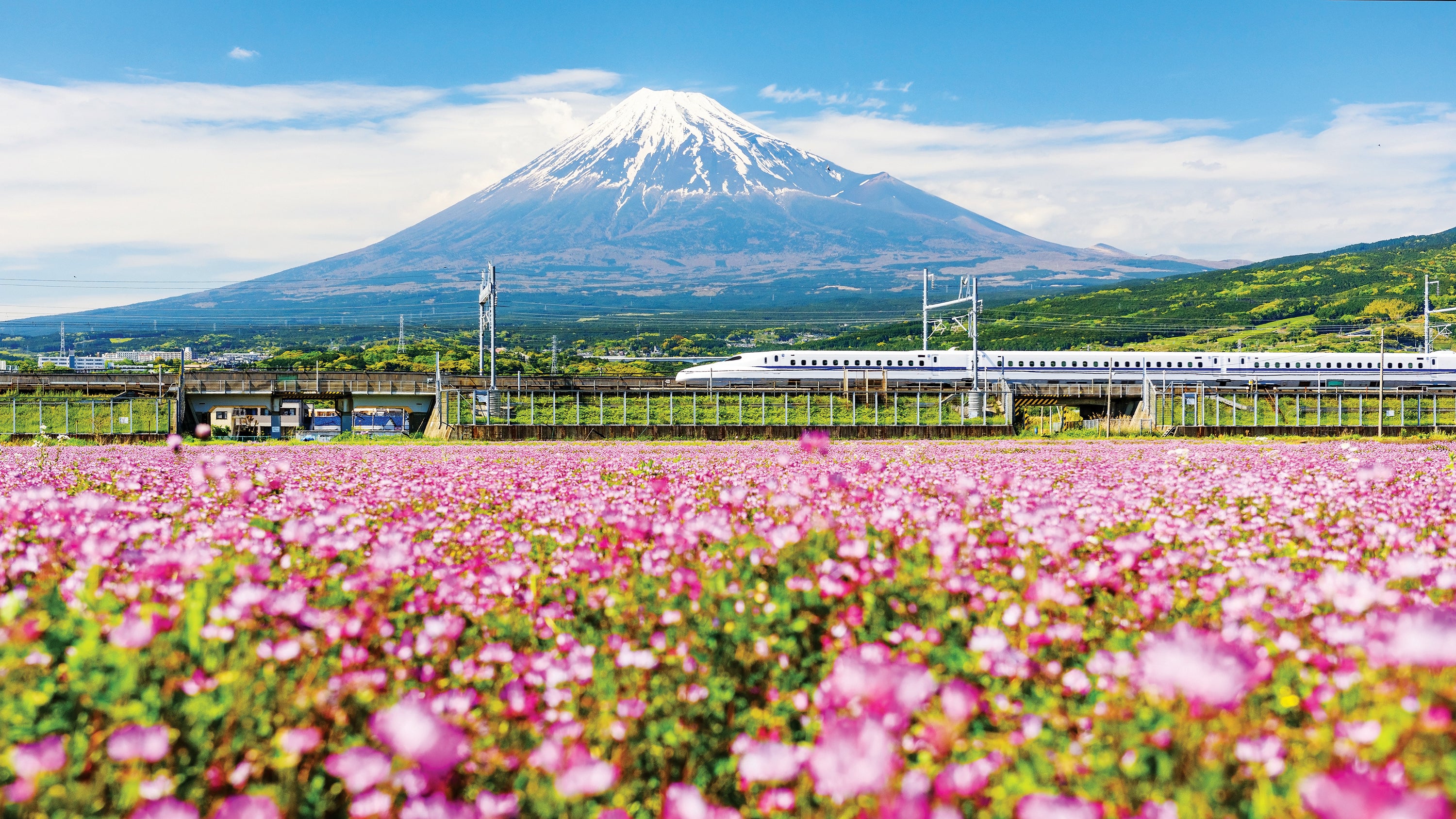 Shinkzanen Mt. Fuji