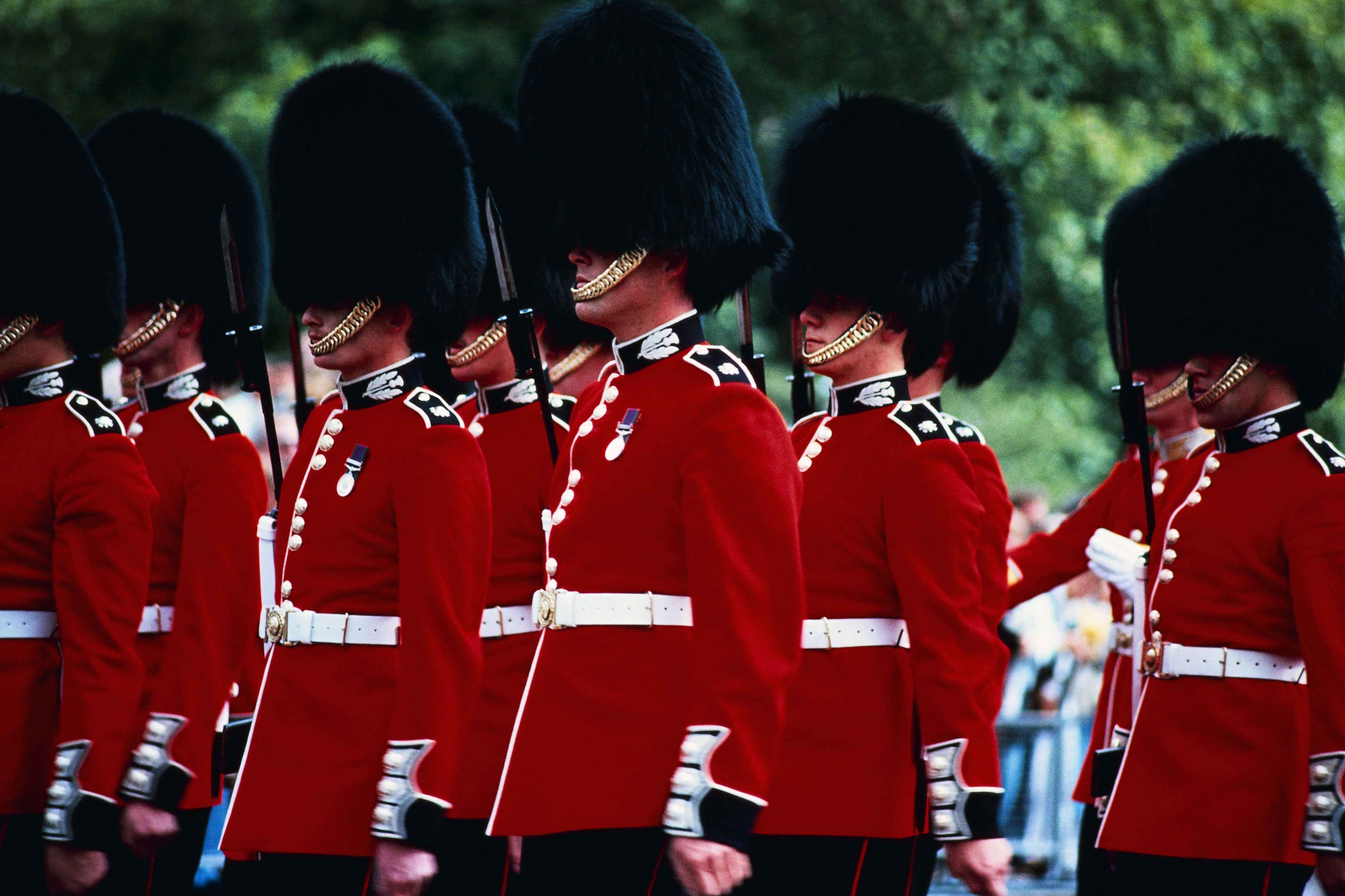 Royal Guards