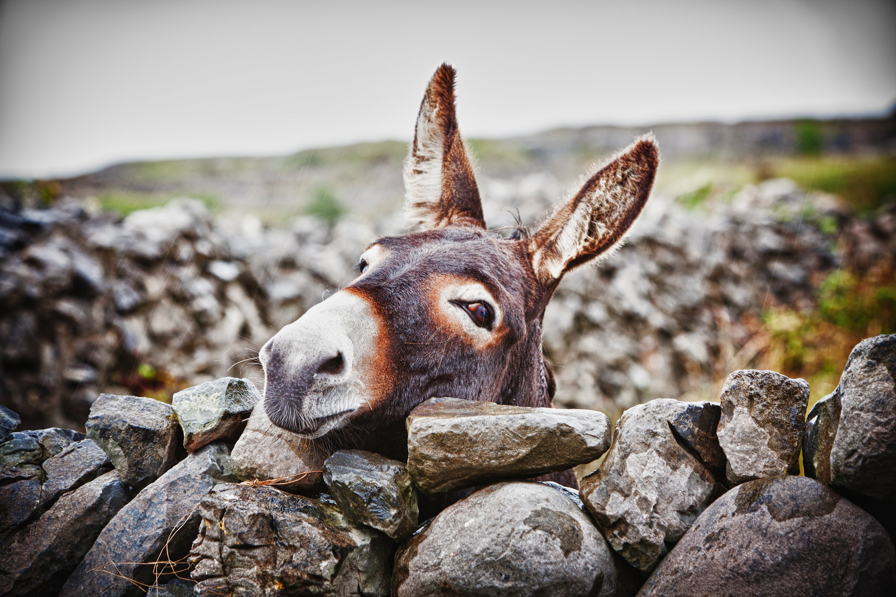 Aran Islands